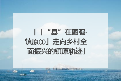 「“县”在图强·镇原③」走向乡村全面振兴的镇原轨迹