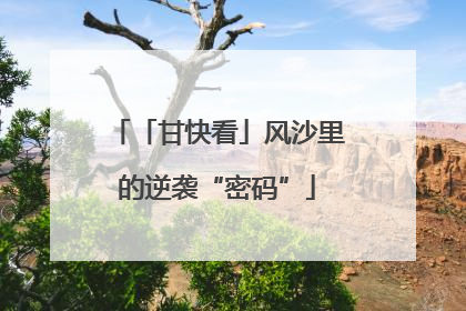 「甘快看」风沙里的逆袭“密码”