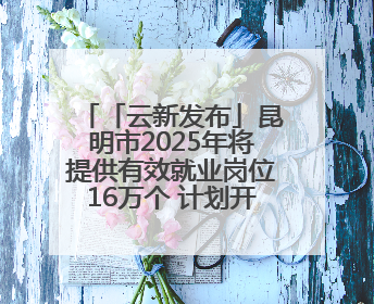 「云新发布」昆明市2025年将提供有效就业岗位16万个 计划开展各类招聘会200余场次