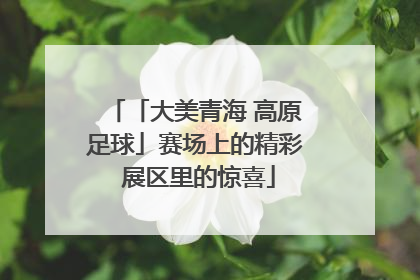 「大美青海 高原足球」赛场上的精彩 展区里的惊喜