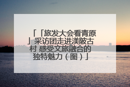 「旅发大会看青原」采访团走进渼陂古村 感受文旅融合的独特魅力（图）