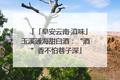 「早安云南·滇味」玉溪通海甜白酒：“酒”香不怕巷子深