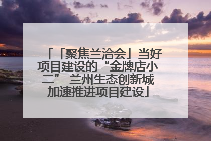 「聚焦兰洽会」当好项目建设的“金牌店小二” 兰州生态创新城加速推进项目建设
