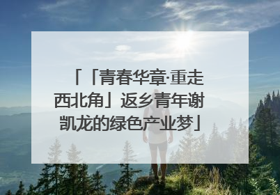 「青春华章·重走西北角」返乡青年谢凯龙的绿色产业梦
