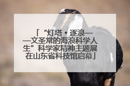 “灯塔 • 逐浪——文圣常的海浪科学人生”科学家精神主题展在山东省科技馆启幕