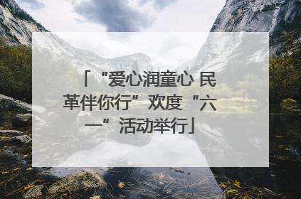 “爱心润童心 民革伴你行”欢度“六一”活动举行