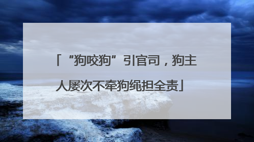 “狗咬狗”引官司，狗主人屡次不牵狗绳担全责