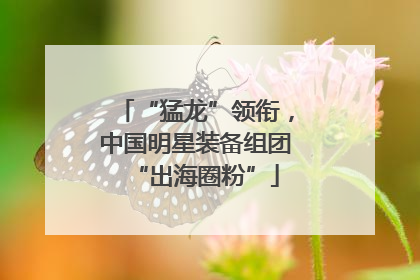 “猛龙”领衔，中国明星装备组团“出海圈粉”