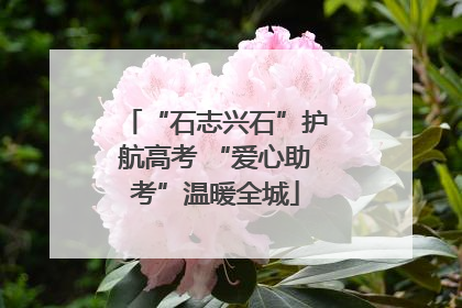 “石志兴石”护航高考 “爱心助考”温暖全城
