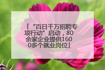 “百日千万招聘专项行动”启动，80余家企业提供1600多个就业岗位