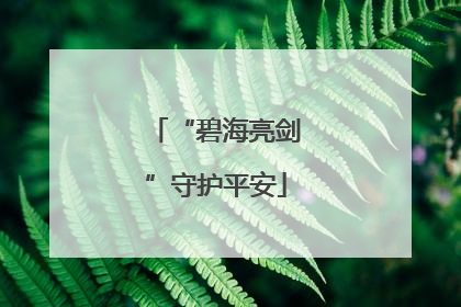 “碧海亮剑”守护平安