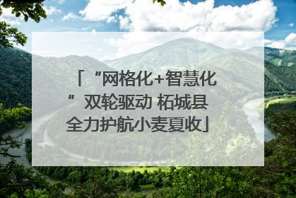 “网格化+智慧化”双轮驱动 柘城县全力护航小麦夏收