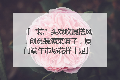 “粽”头戏吹混搭风，创意装满菜篮子，厦门端午市场花样十足