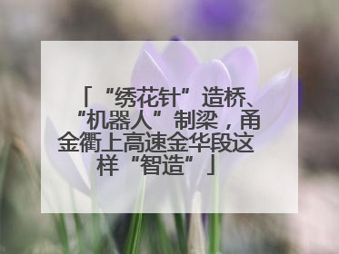 “绣花针”造桥、“机器人”制梁，甬金衢上高速金华段这样“智造”