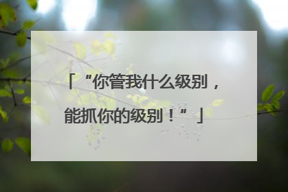 “你管我什么级别，能抓你的级别！”
