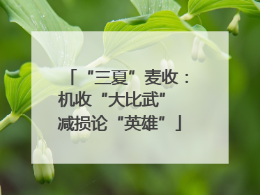 “三夏”麦收：机收“大比武” 减损论“英雄”