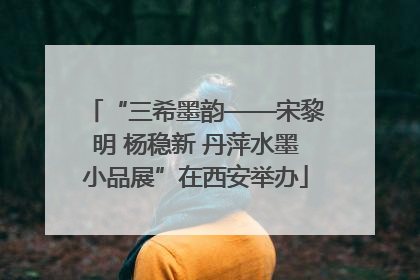 “三希墨韵——宋黎明 杨稳新 丹萍水墨小品展”在西安举办