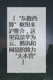 “东数西算”枢纽来沪推介，这里竟是华为云、腾讯和网易的算力“大本营”