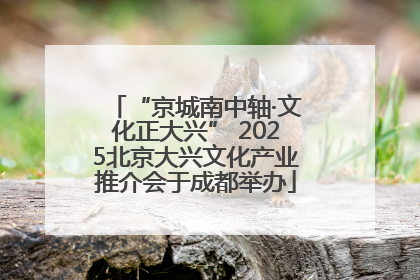 “京城南中轴·文化正大兴” 2025北京大兴文化产业推介会于成都举办