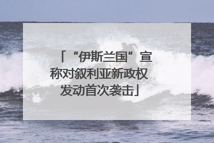 “伊斯兰国”宣称对叙利亚新政权发动首次袭击