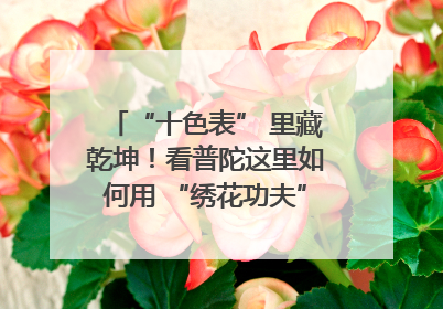 “十色表” 里藏乾坤！看普陀这里如何用 “绣花功夫” 织就社区治理