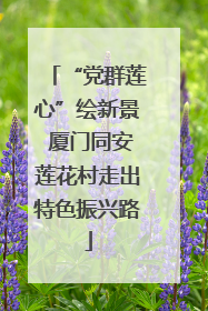 “党群莲心”绘新景 厦门同安莲花村走出特色振兴路