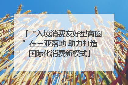 “入境消费友好型商圈”在三亚落地 助力打造国际化消费新模式