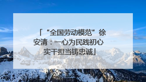 “全国劳动模范”徐安清：一心为民践初心 实干担当铸忠诚