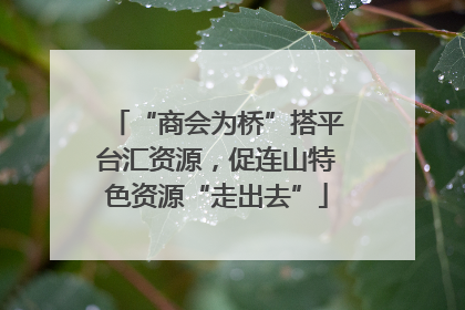 “商会为桥”搭平台汇资源，促连山特色资源“走出去”