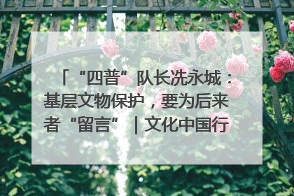 “四普”队长冼永城：基层文物保护，要为后来者“留言”｜文化中国行·我在广东找文物