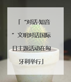 “对话·知音”文明对话国际日主题活动在匈牙利举行