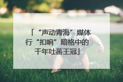 “声动青海”媒体行“扣响”暗格中的千年吐蕃王冠
