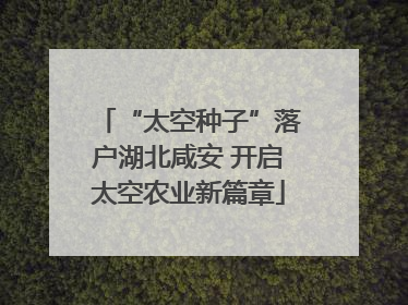 “太空种子”落户湖北咸安 开启太空农业新篇章