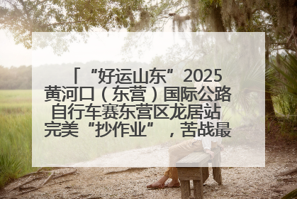 “好运山东”2025黄河口（东营）国际公路自行车赛东营区龙居站 完美“抄作业”，苦战最后时刻黄衫易主