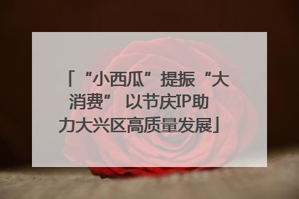 “小西瓜”提振“大消费” 以节庆IP助力大兴区高质量发展