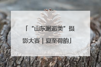 “山东邂逅美”摄影大赛｜夏至荷韵