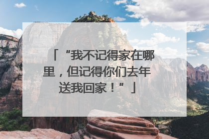 “我不记得家在哪里，但记得你们去年送我回家！”
