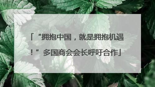 “拥抱中国，就是拥抱机遇！”多国商会会长呼吁合作