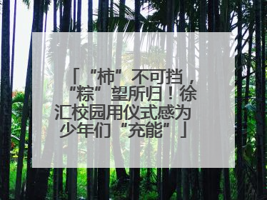 “柿”不可挡，“粽”望所归！徐汇校园用仪式感为少年们“充能”