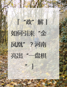 “政”解丨如何引来“金凤凰”？河南亮出“一盘棋”