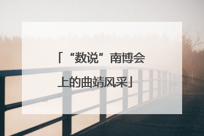 “数说”南博会上的曲靖风采