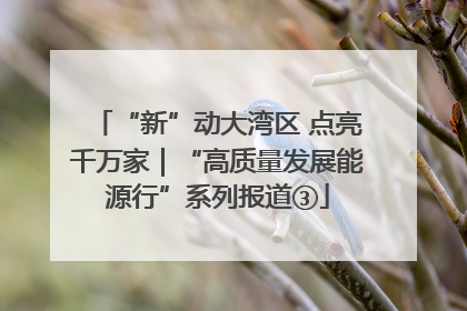 “新”动大湾区 点亮千万家｜“高质量发展能源行”系列报道③
