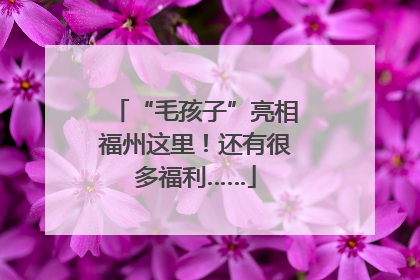 “毛孩子”亮相福州这里！还有很多福利……