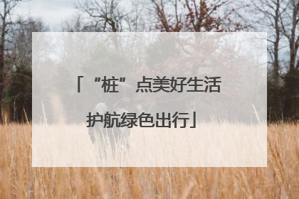 “桩”点美好生活 护航绿色出行