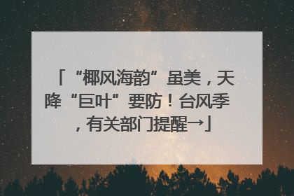 “椰风海韵”虽美，天降“巨叶”要防！台风季，有关部门提醒→