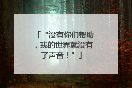 “没有你们帮助，我的世界就没有了声音！”