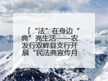 “法”在身边“典”亮生活——农发行双峰县支行开展“民法典宣传月”活动