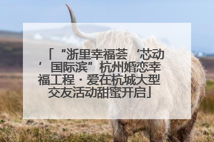 “浙里幸福荟‘芯动’国际滨”杭州婚恋幸福工程・爱在杭城大型交友活动甜蜜开启