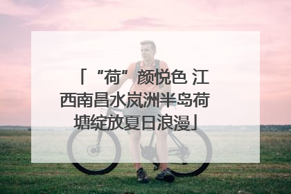 “荷”颜悦色 江西南昌水岚洲半岛荷塘绽放夏日浪漫