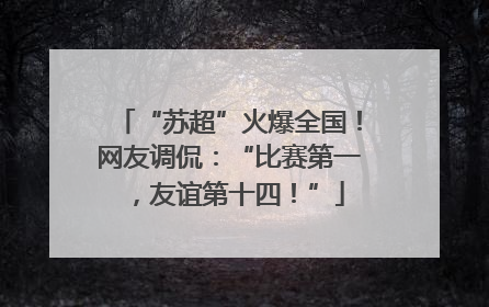 “苏超”火爆全国！网友调侃：“比赛第一，友谊第十四！”